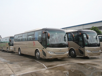 蜜桃成品人视频入口