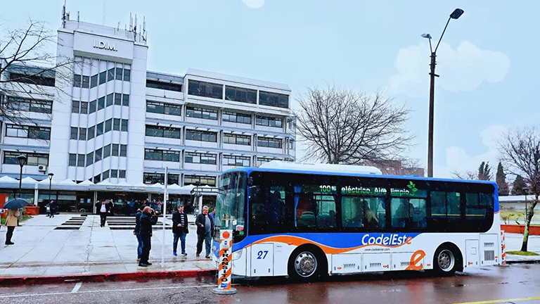 蜜桃成品人视频入口