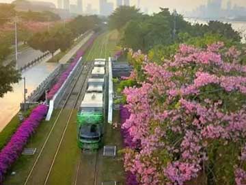 蜜桃成品人视频入口