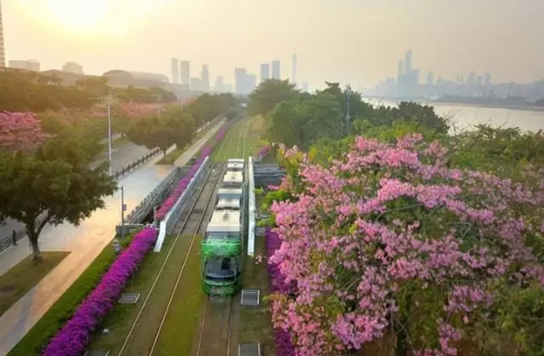 蜜桃成品人视频入口