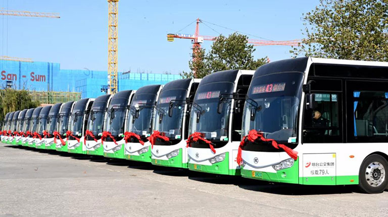 蜜桃成品人视频入口