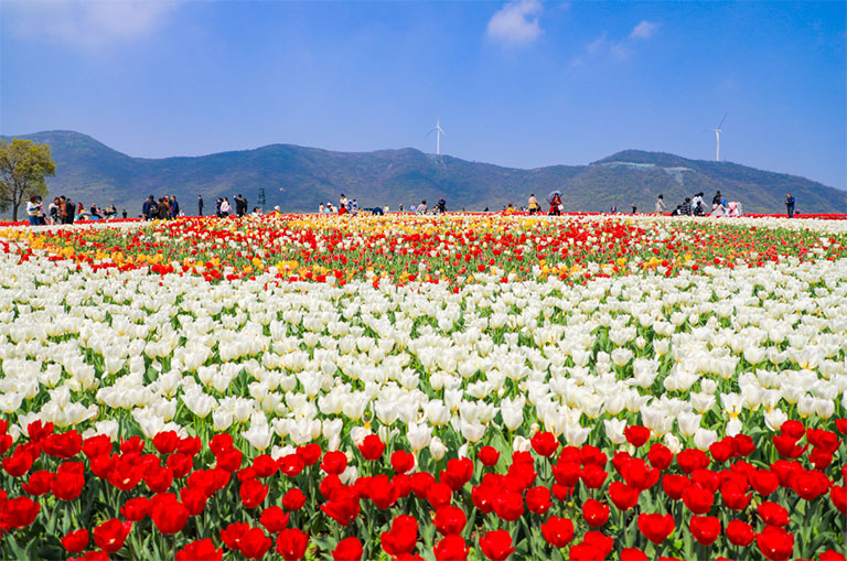 蜜桃成品人视频入口