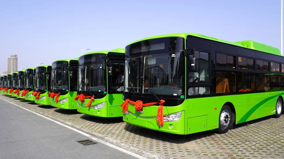 蜜桃成品人视频入口