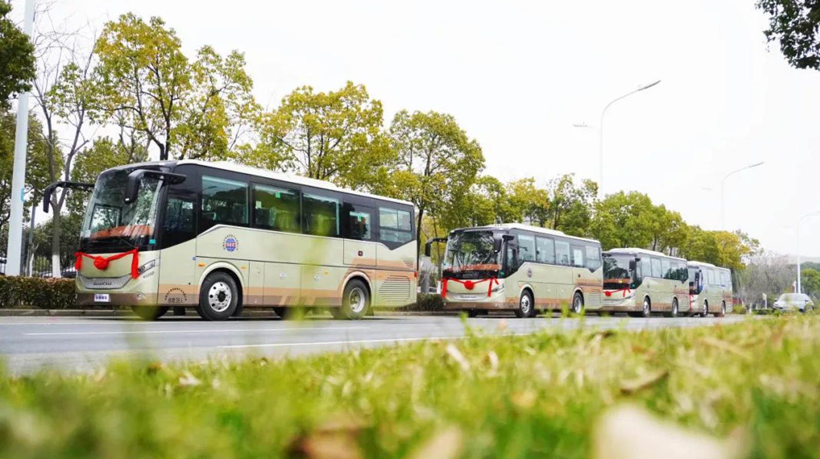 蜜桃成品人视频入口