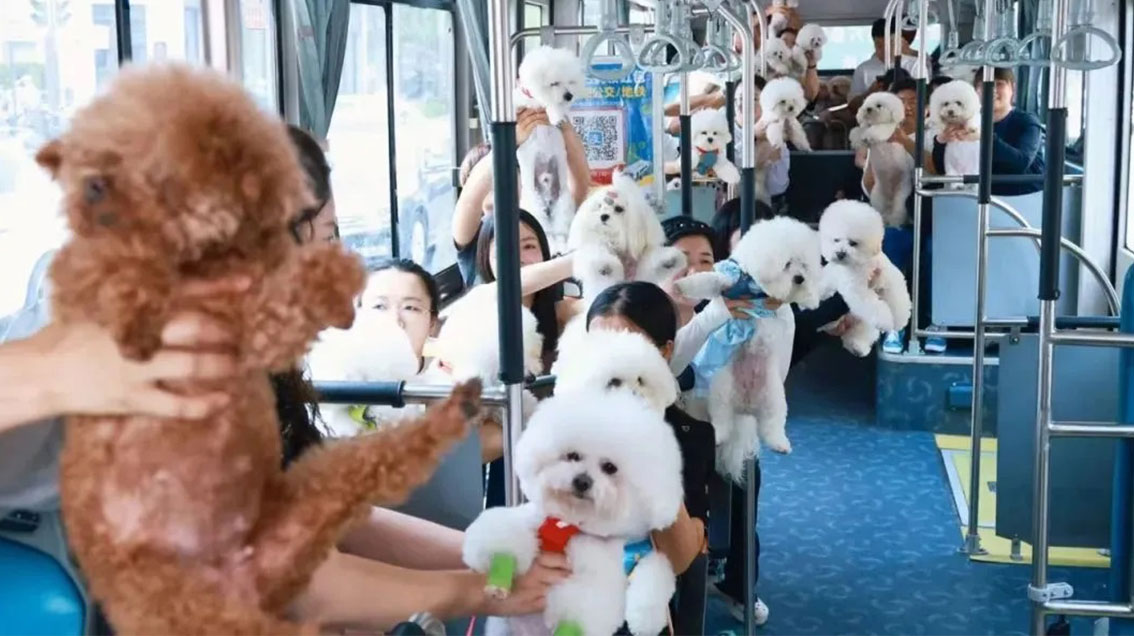 蜜桃成品人视频入口